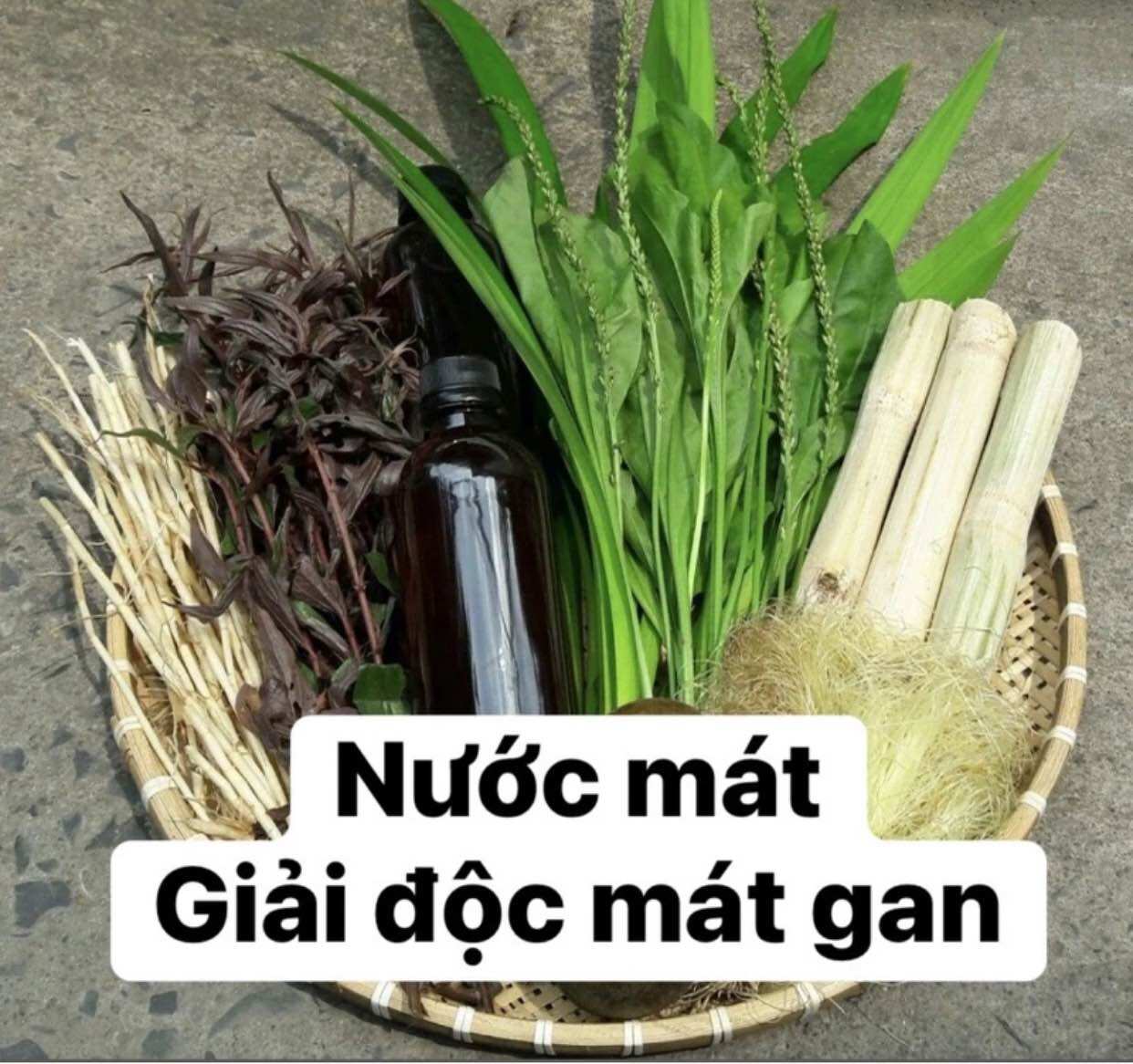 Set COMBO nguyên liệu tươi nấu nước mát thanh lọc mát gan ngày hè.