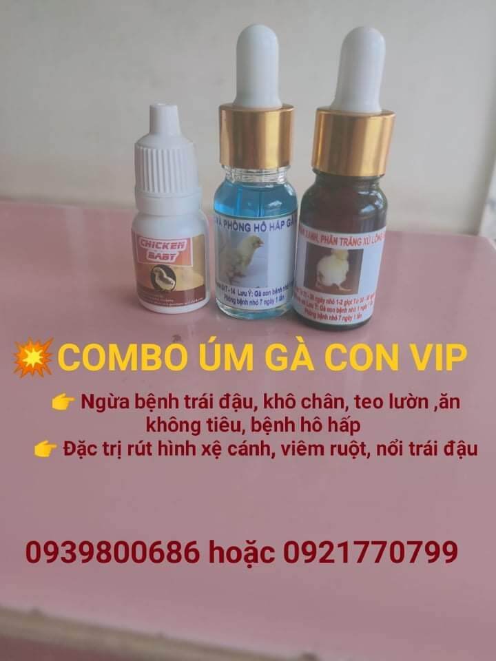 COMBO ÚM GÀ CON