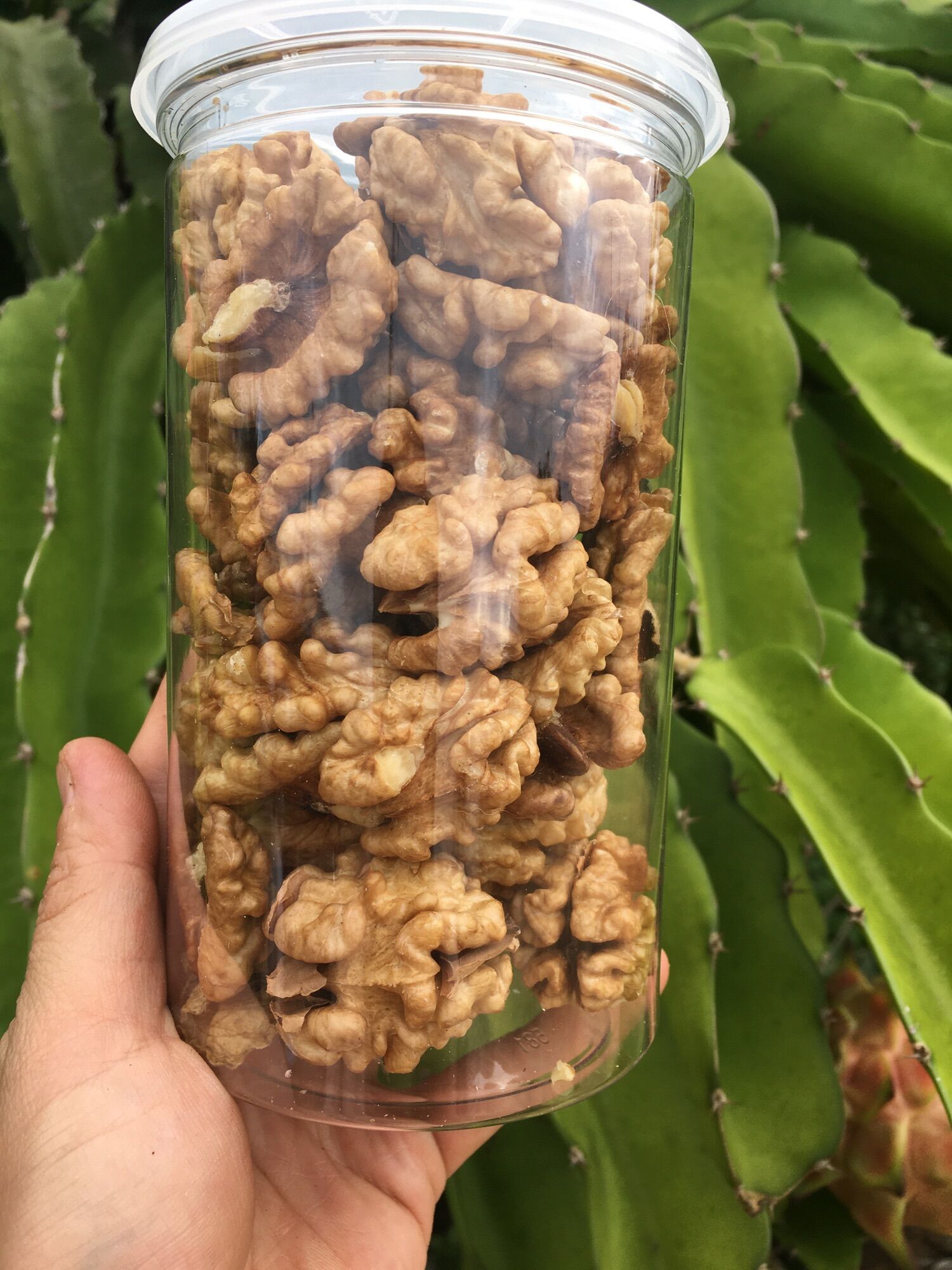 Nhân óc chó mỹ 500g