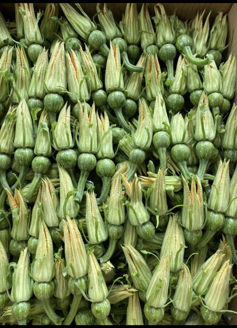 HẠT GIỐNG BÍ ĂN NỤ SIÊU TRÁI NON cao sản