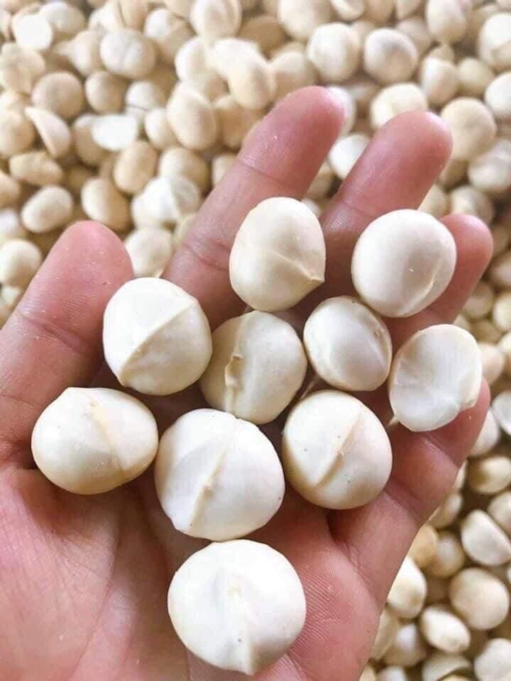[VIP] nhân macca sấy đẹp 250g