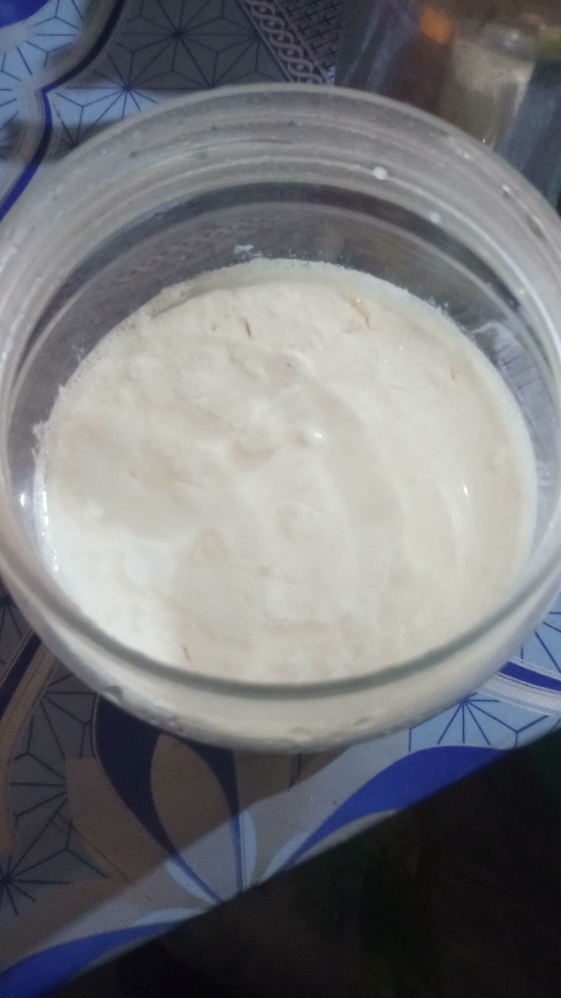 CON NẤM SỮA CHUA 30K