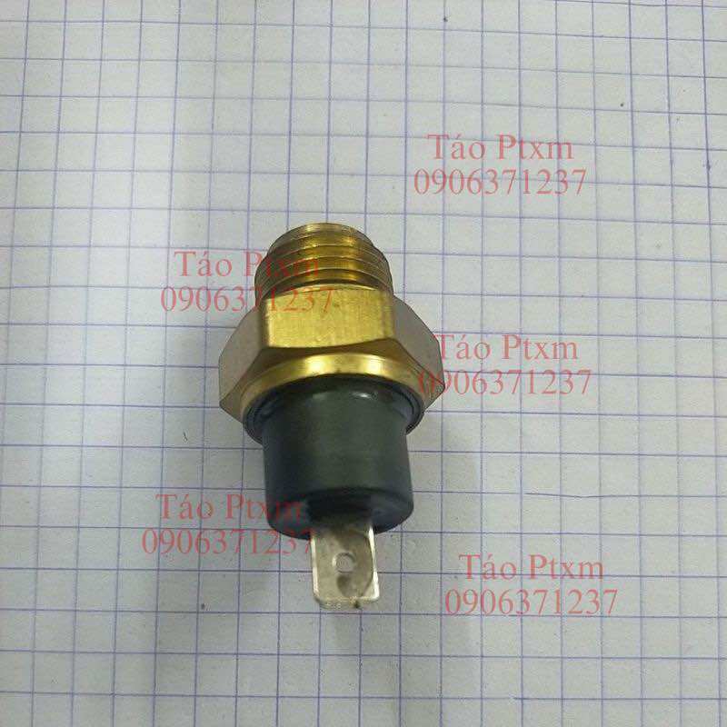 Cảm biến nước (cảm biến nhiệt) Xe Dylan