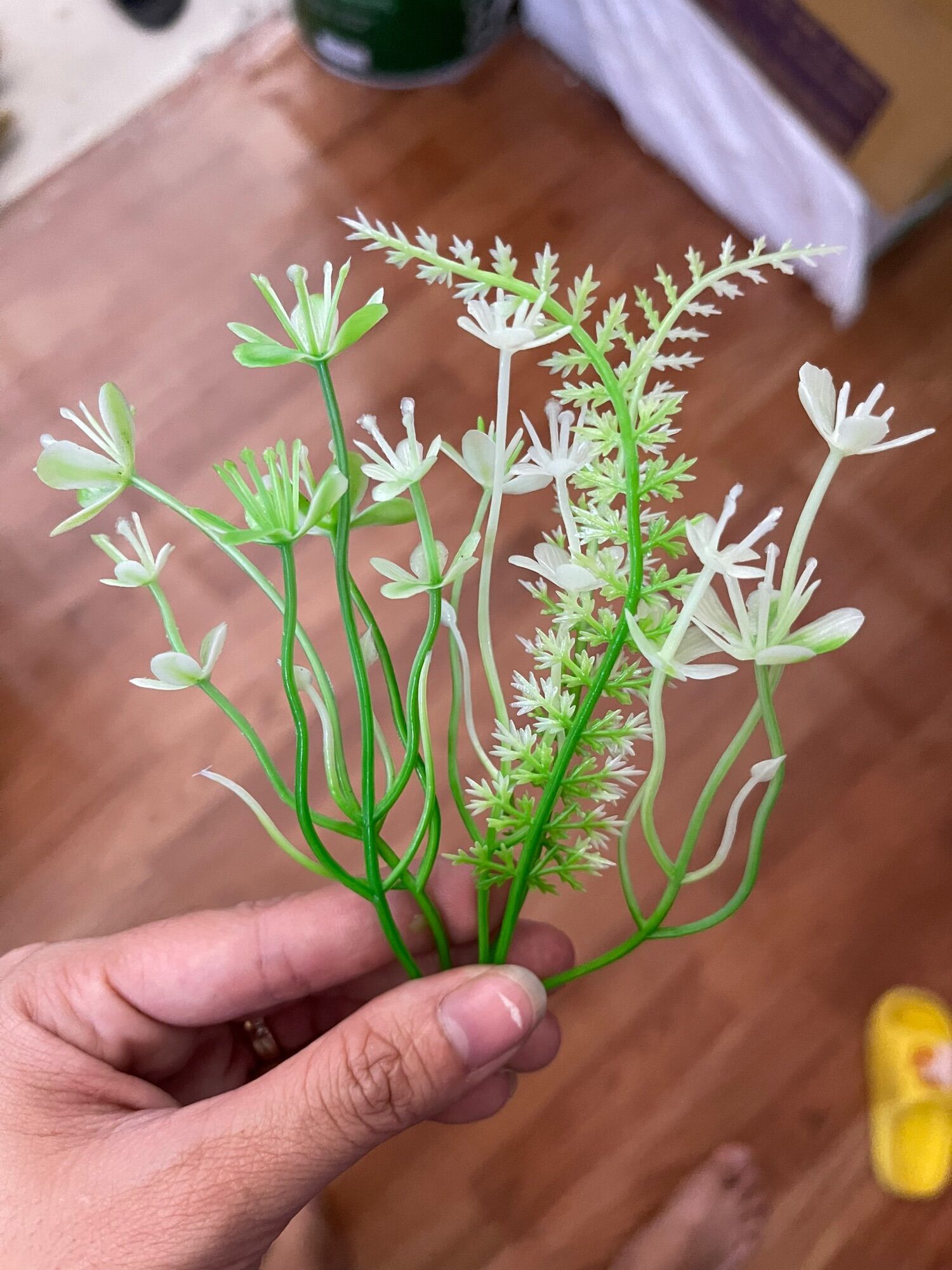 Cỏ điểm cắm hoa 100gram