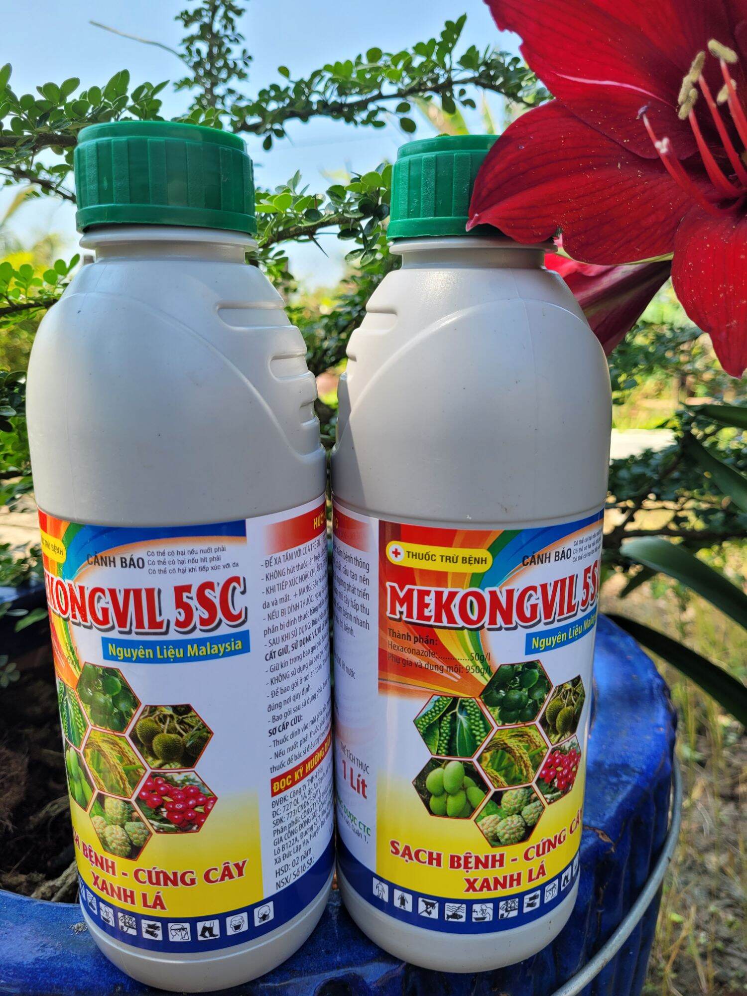 VTNN TRUNG THIEN THINH