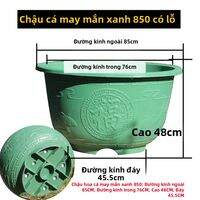JILAIYAO | Chậu Nhựa Chuyên Dụng Cho Cây Thủy Sinh Không Lỗ