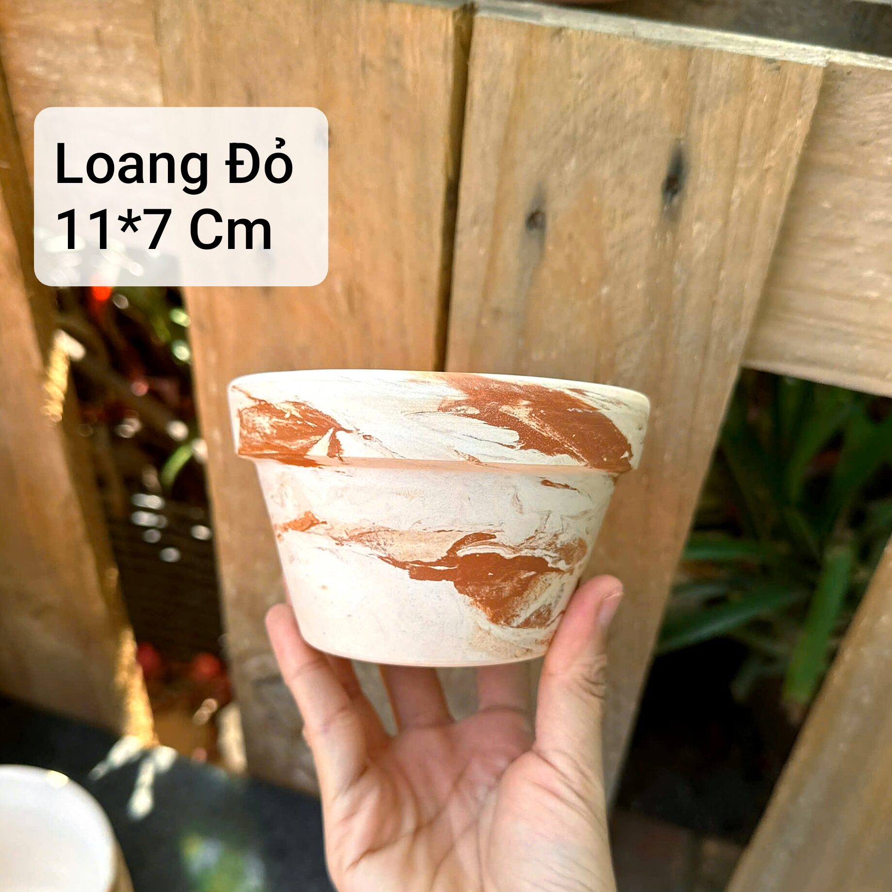 [Bao Bể Vỡ] Combo 5 Chậu Đất Nung Trồng Sen Đá Size 10 x7 cm