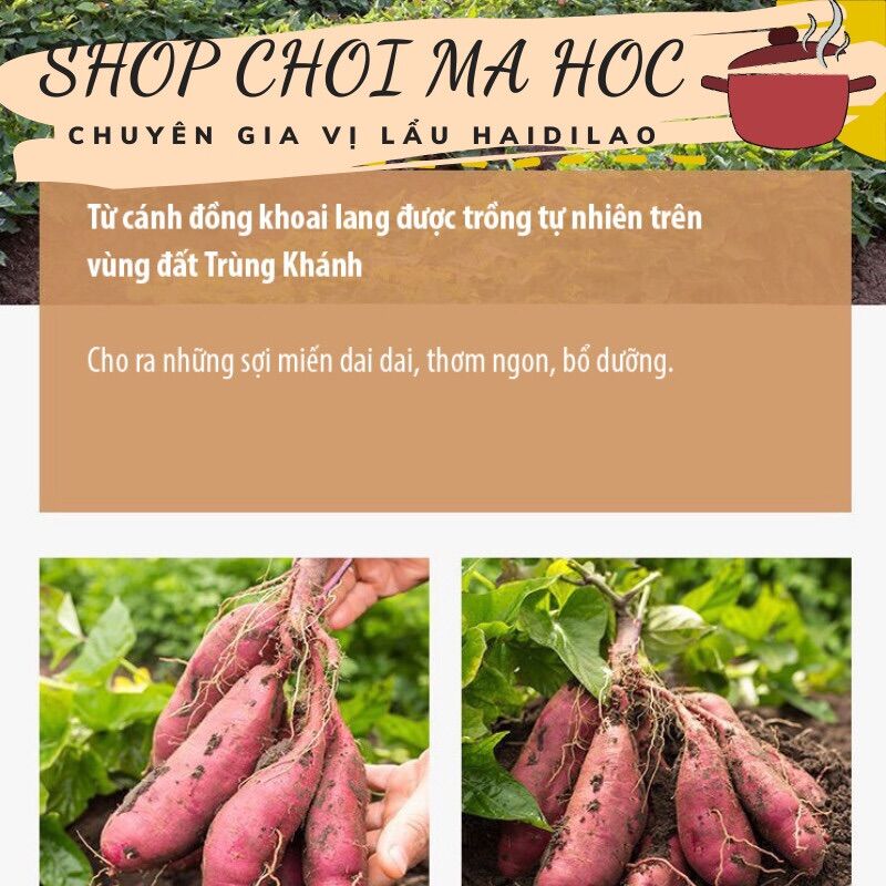 Miến dẹt Trùng Khánh