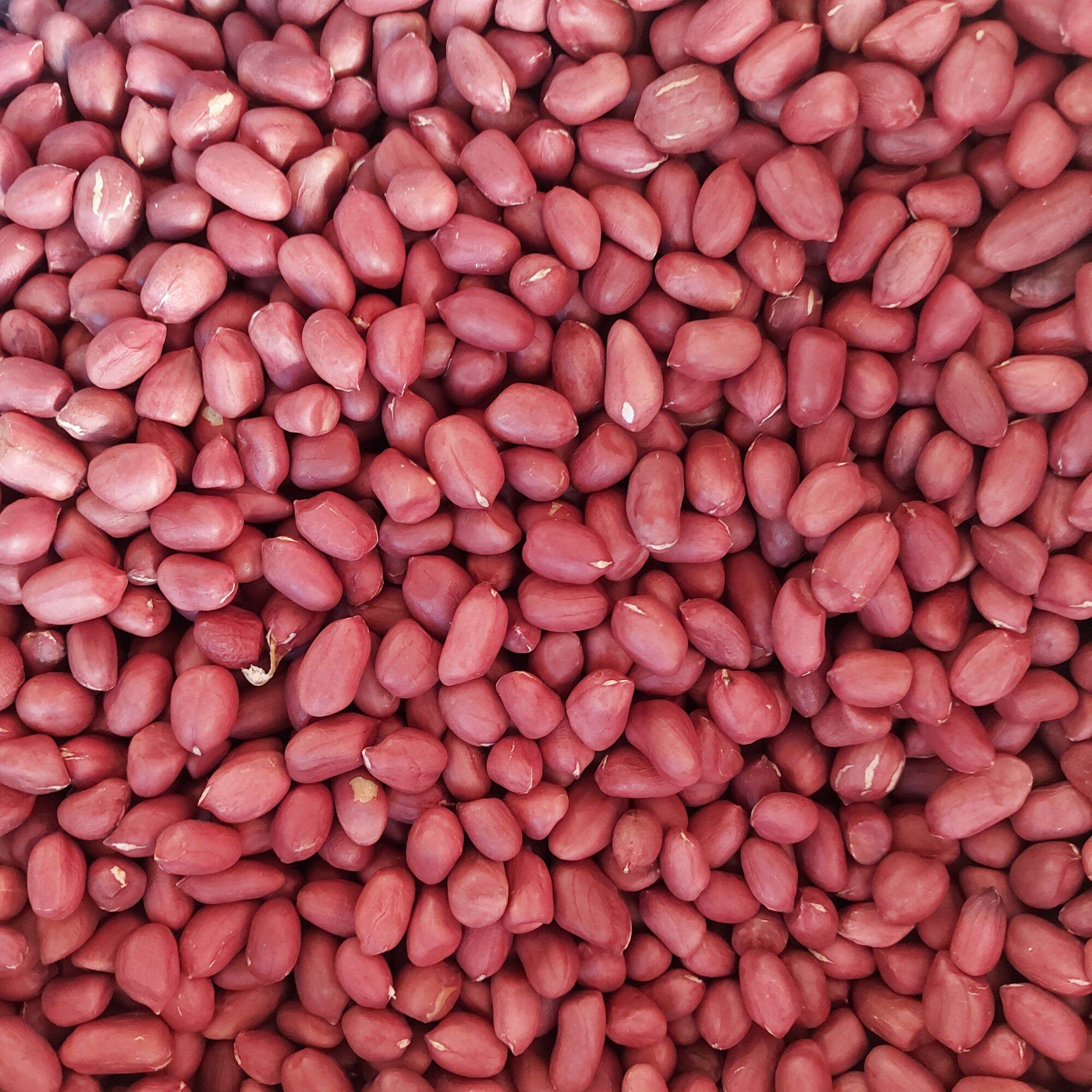 Lạc Hạt Đỏ Tây Bắc - 1kg