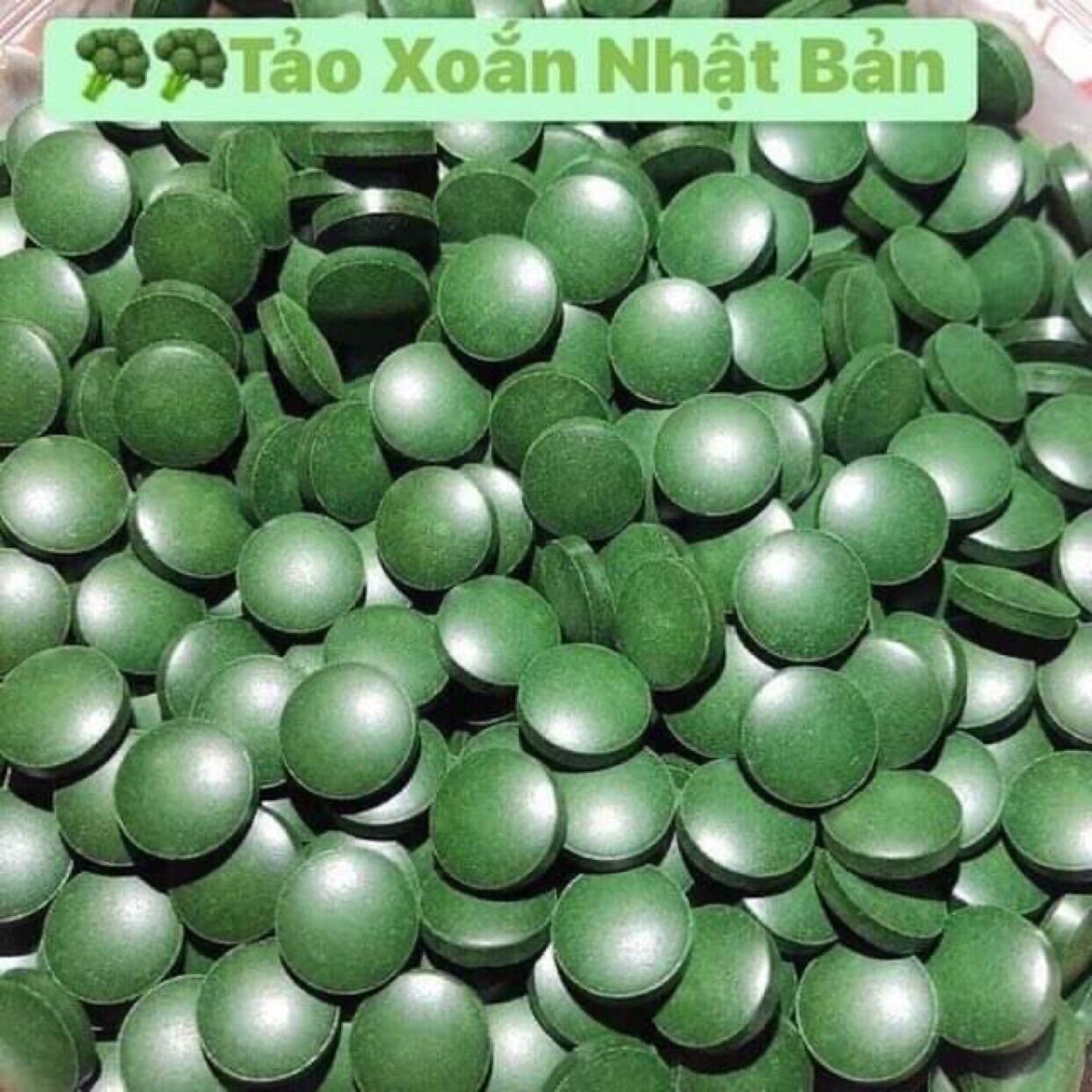 100 viên tảo viên cho cá cảnh