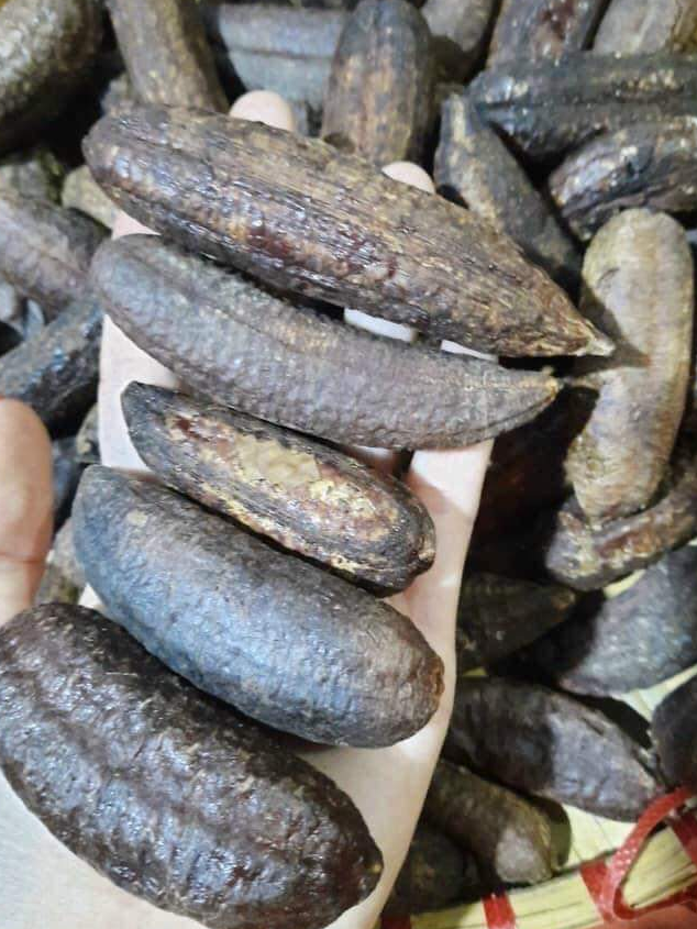 1kg chuối hột rừng tây bắc