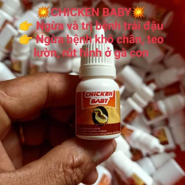 CHICKEN BABY, ÚM GÀ CON MỚI NỞ