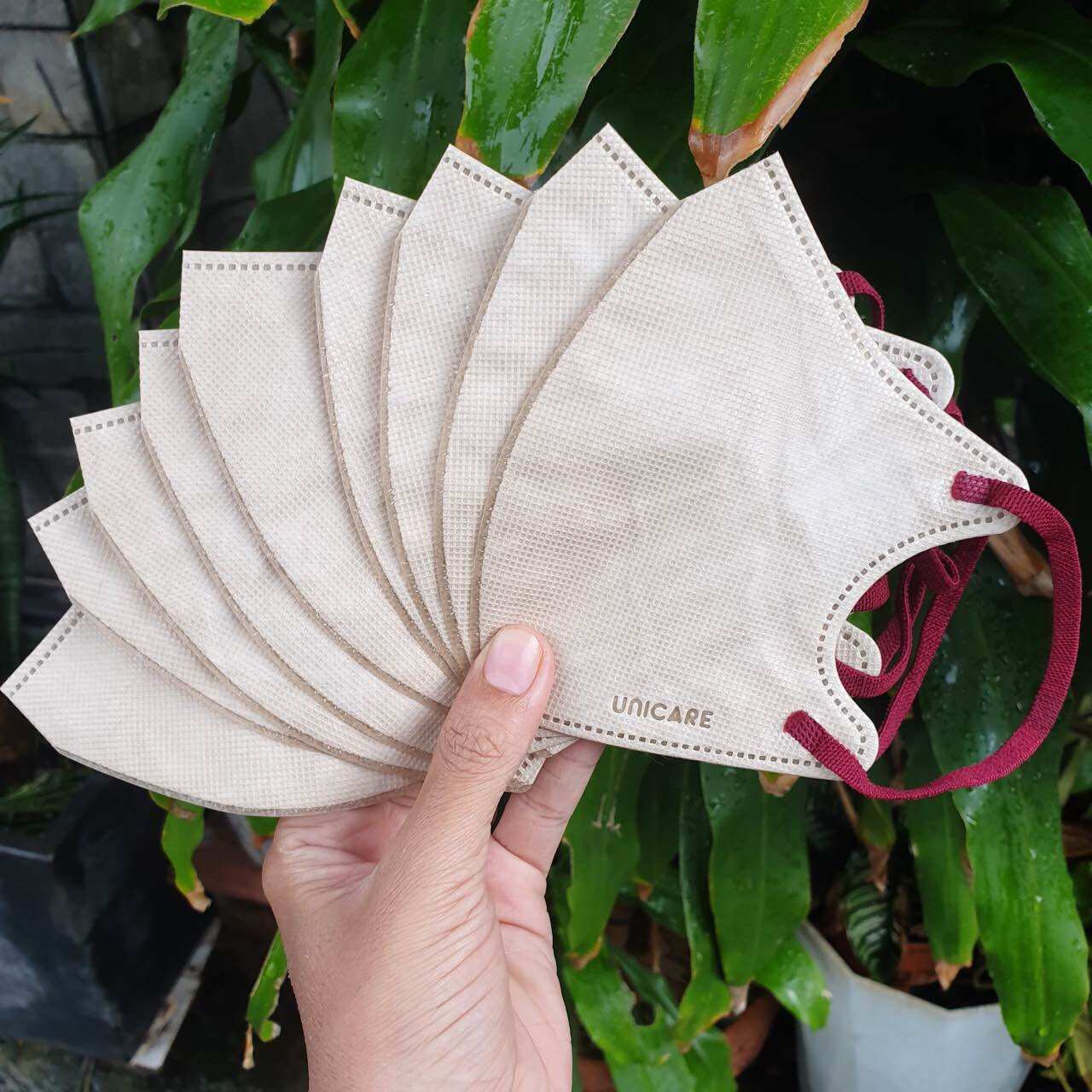 Khẩu trang 6D hàn quốc