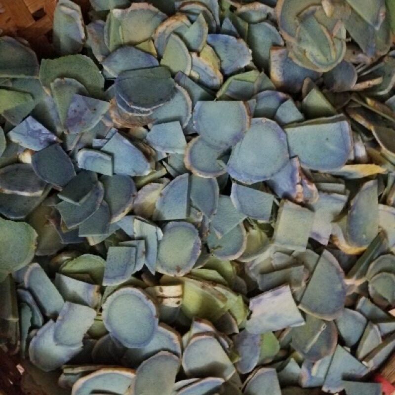 Củ nghệ đen tươi chuẩn hình