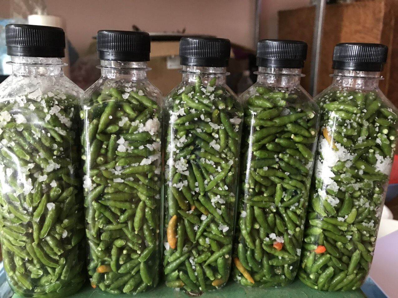 Ớt thóc xanh muối đặc sản Lai Châu_ quả nhỏ, giòn, thơm, cay chuẩn vị
