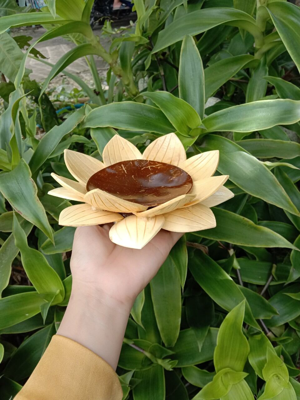 dĩa sen làm từ ráo dừa