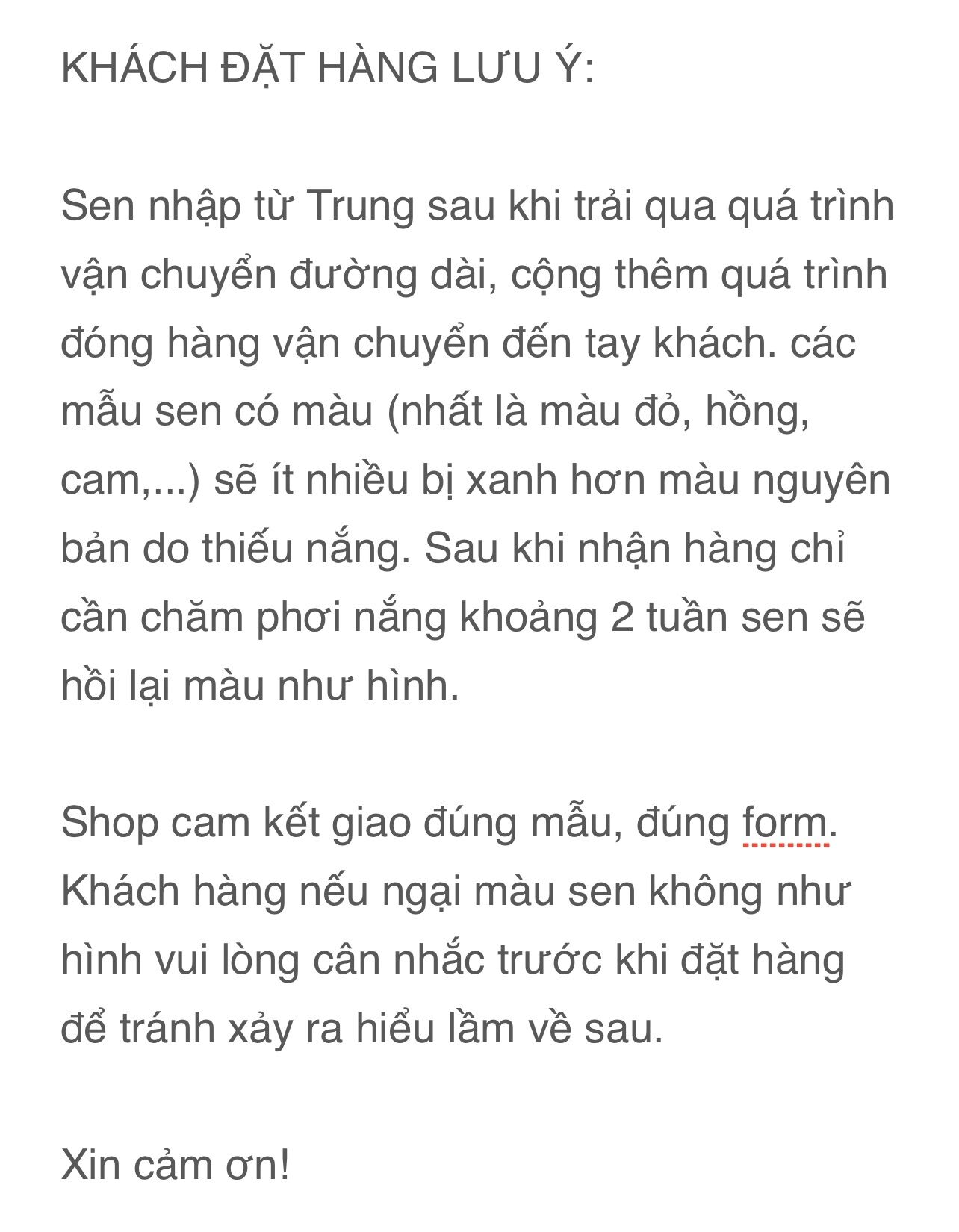 Sen đá hoa sen đỏ thân thụ