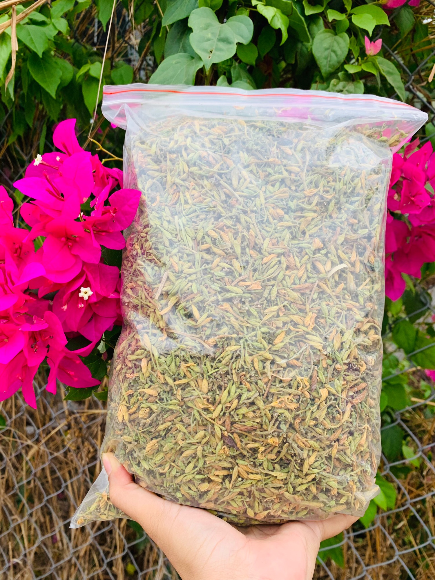 Hoa đu đủ sấy khô 100g-500g-1kg