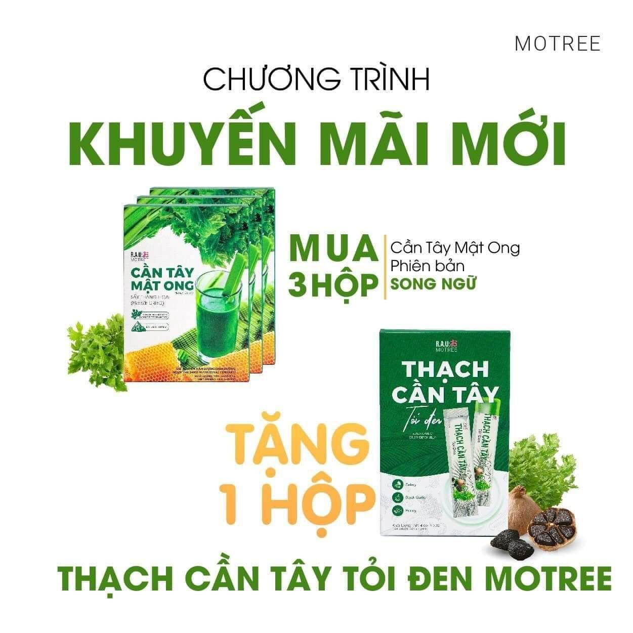 Cần Tây Mật Ong Motree ( hộp 14 gói )
