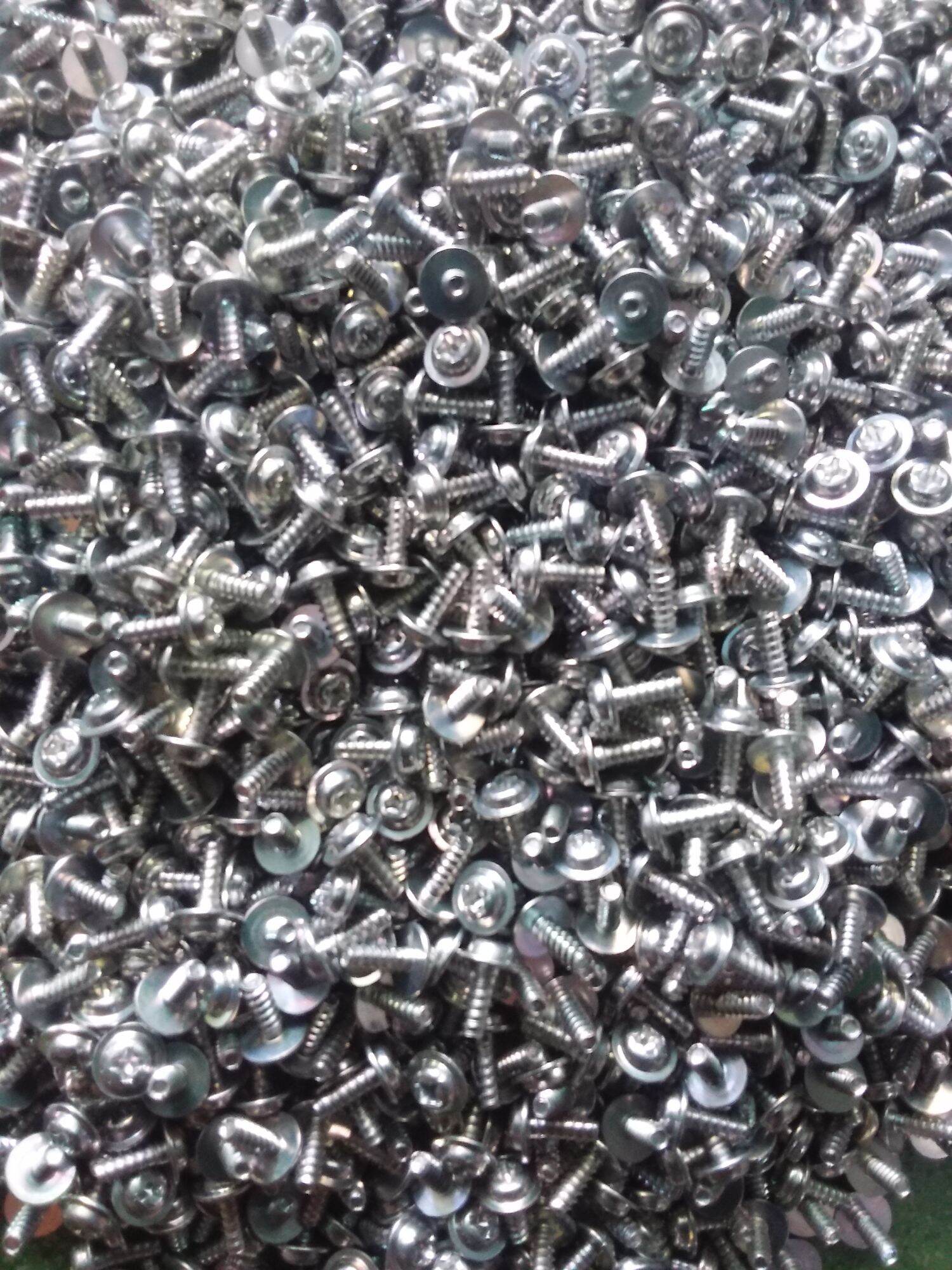 100 GAM VÍT BẮT SÒ 3 LY -1 PHÂN
