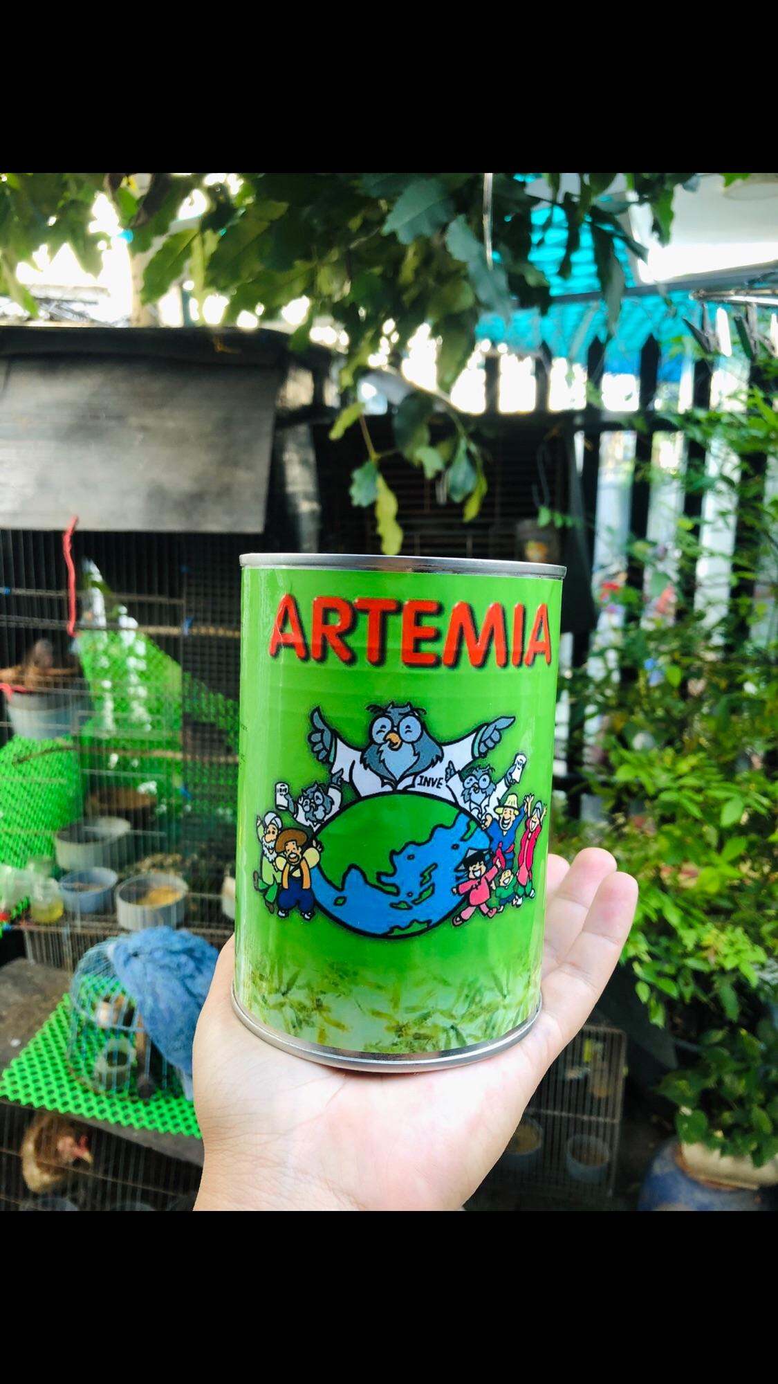 Atermia mỹ nuôi sinh khối , atermia con siêu nhỏ , thức ăn cá cảnh