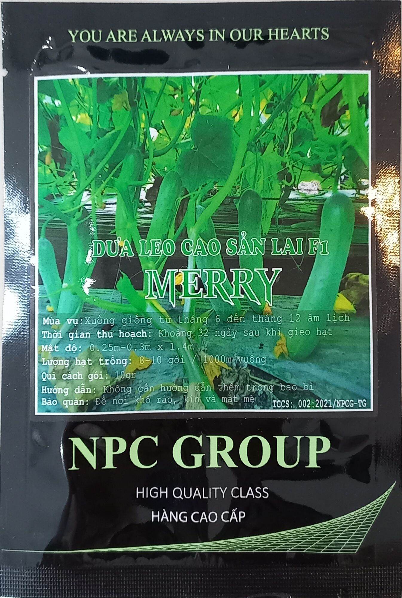Hạt giống dưa leo merry