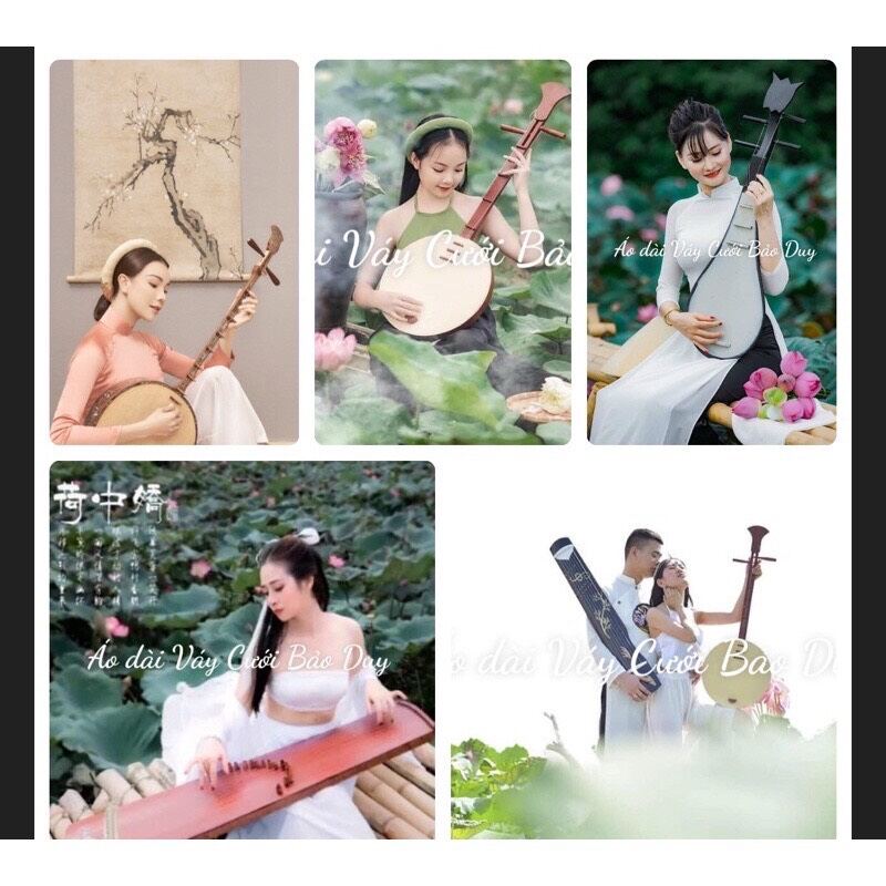 Đàn tỳ bà (đạo cụ chụp ảnh mô phỏng)