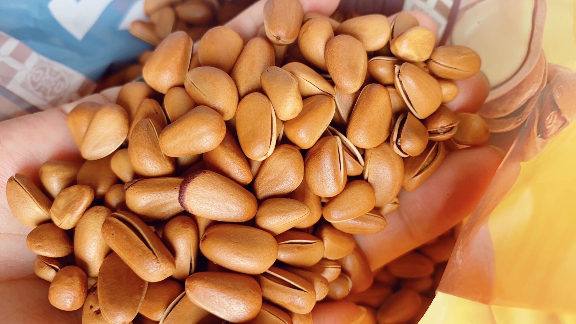 500g hạt thông mỹ to ngon