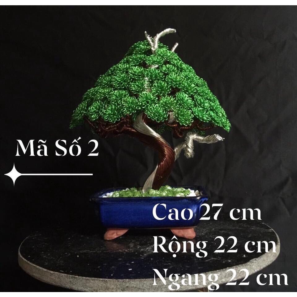 Cây cảnh bonsai handmade