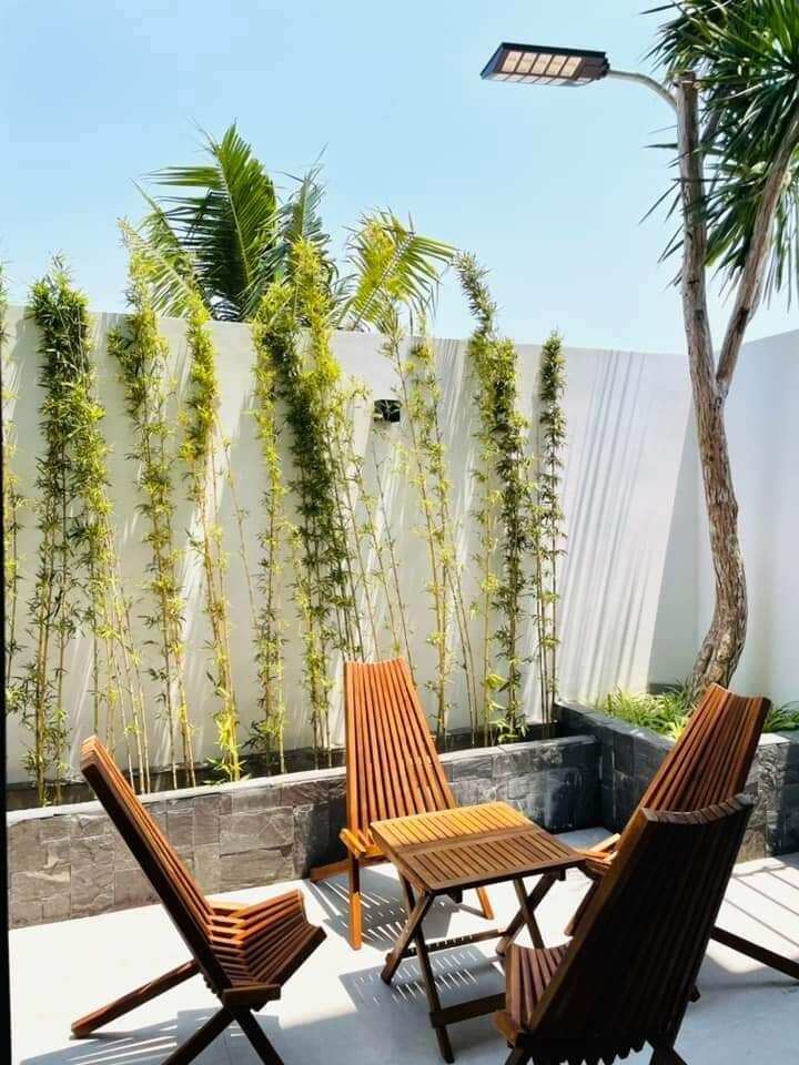 Ghế gỗ câu cá, cà phê