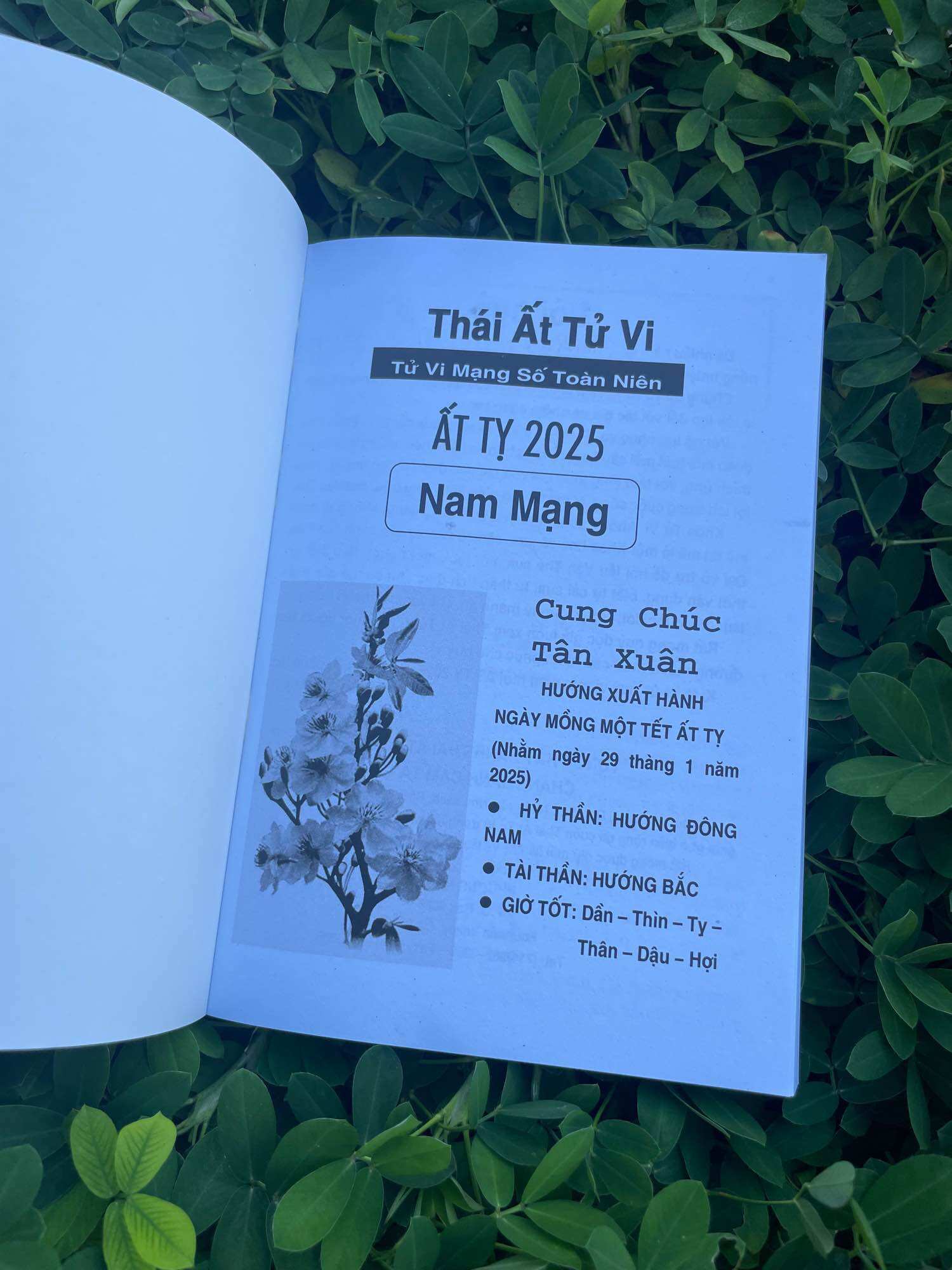 Lịch Thái Ất Tử Vi Toàn Niên 2025