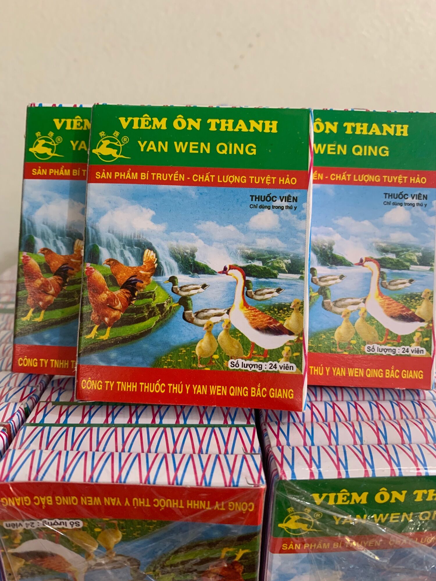 10 hộp viên ôn thanh hộp 1 vỉ 24 viên. tiêu chảy, hô hấp, sốt cao, lông xù, chân lạnh, xã cánh, phân xanh trắng, phân hồng