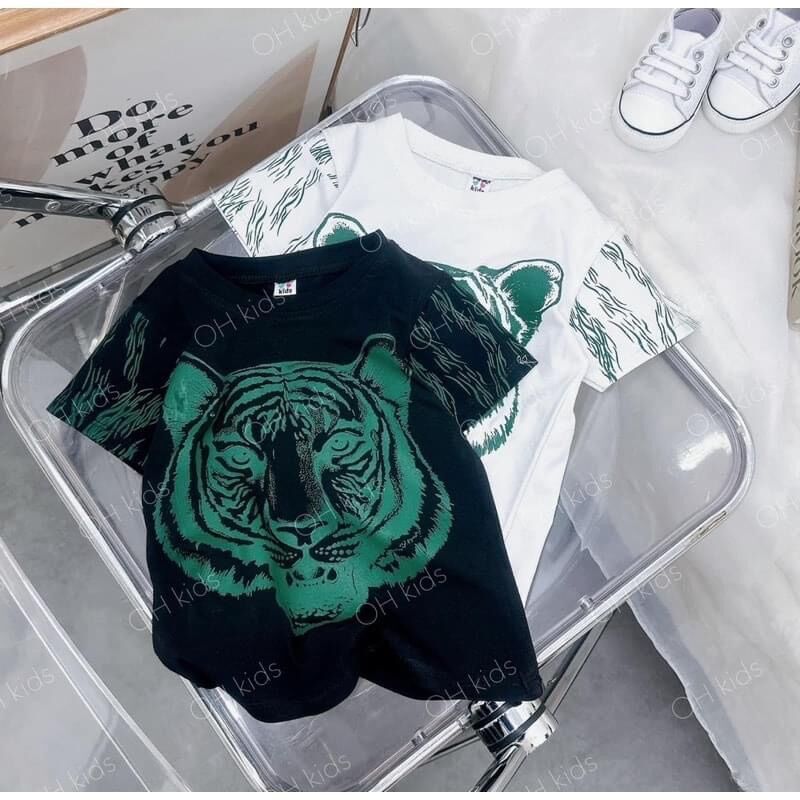 Bộ hổ quần xanh bé trai