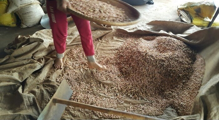 Dầu lạc (phộng) ép nguyên chất