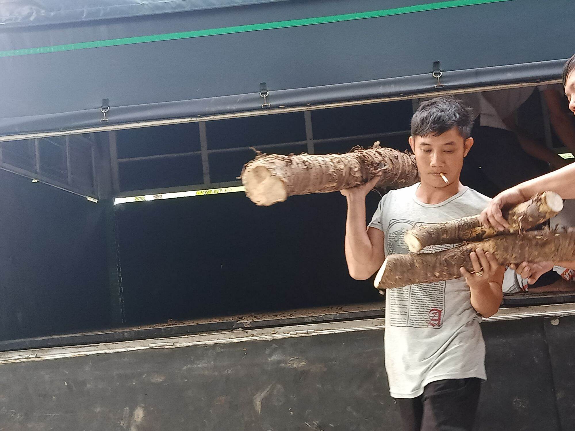 Bạc Hà Núi An Giang 100% (giấc mơ trong cuộc chiến chống Ungthu,..)