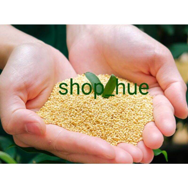 Hạt kê sạch 1kg
