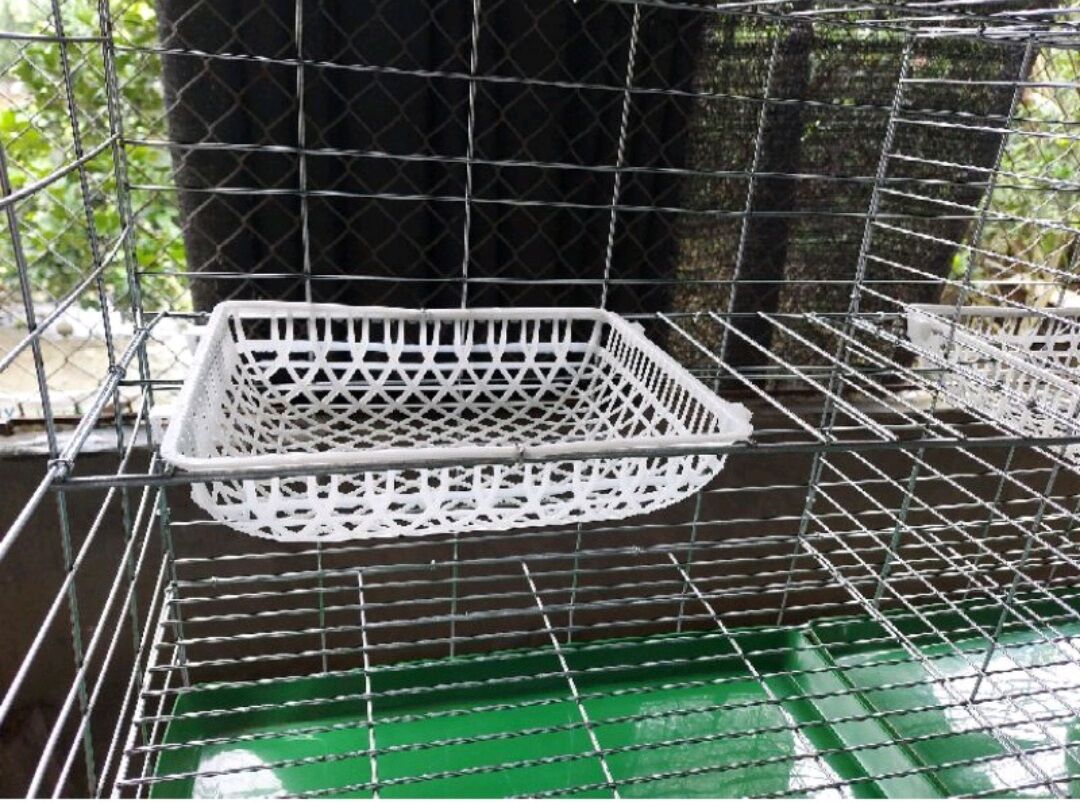 2 Ổ đẻ chim bồ câu ( ổ chữ nhật + giá đỡ)