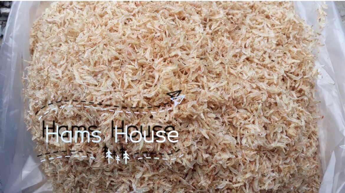 Ruốc cho hamster