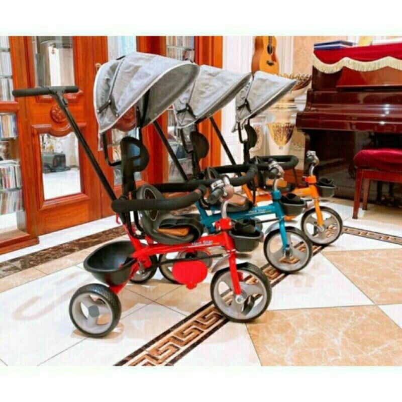 Xe đạp xe đẩy 3 bánh cao cấp có mái che nệm da
