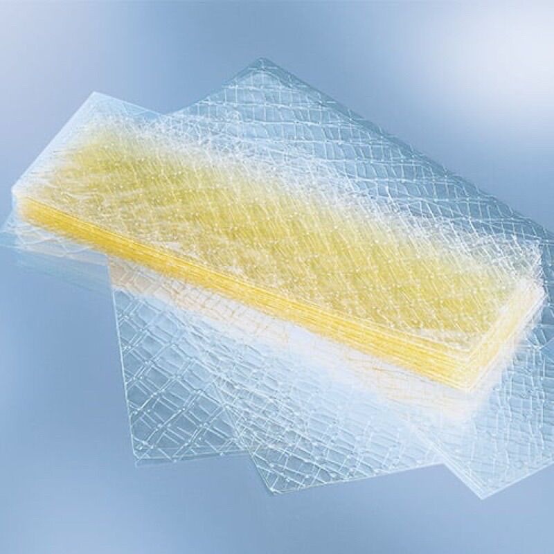 Gelatin (lá) hữu cơ
