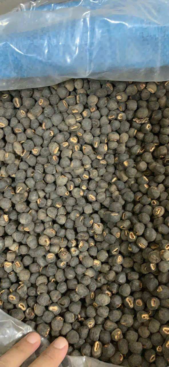 1kg hạt chuối cô đơn Tây Nguyên