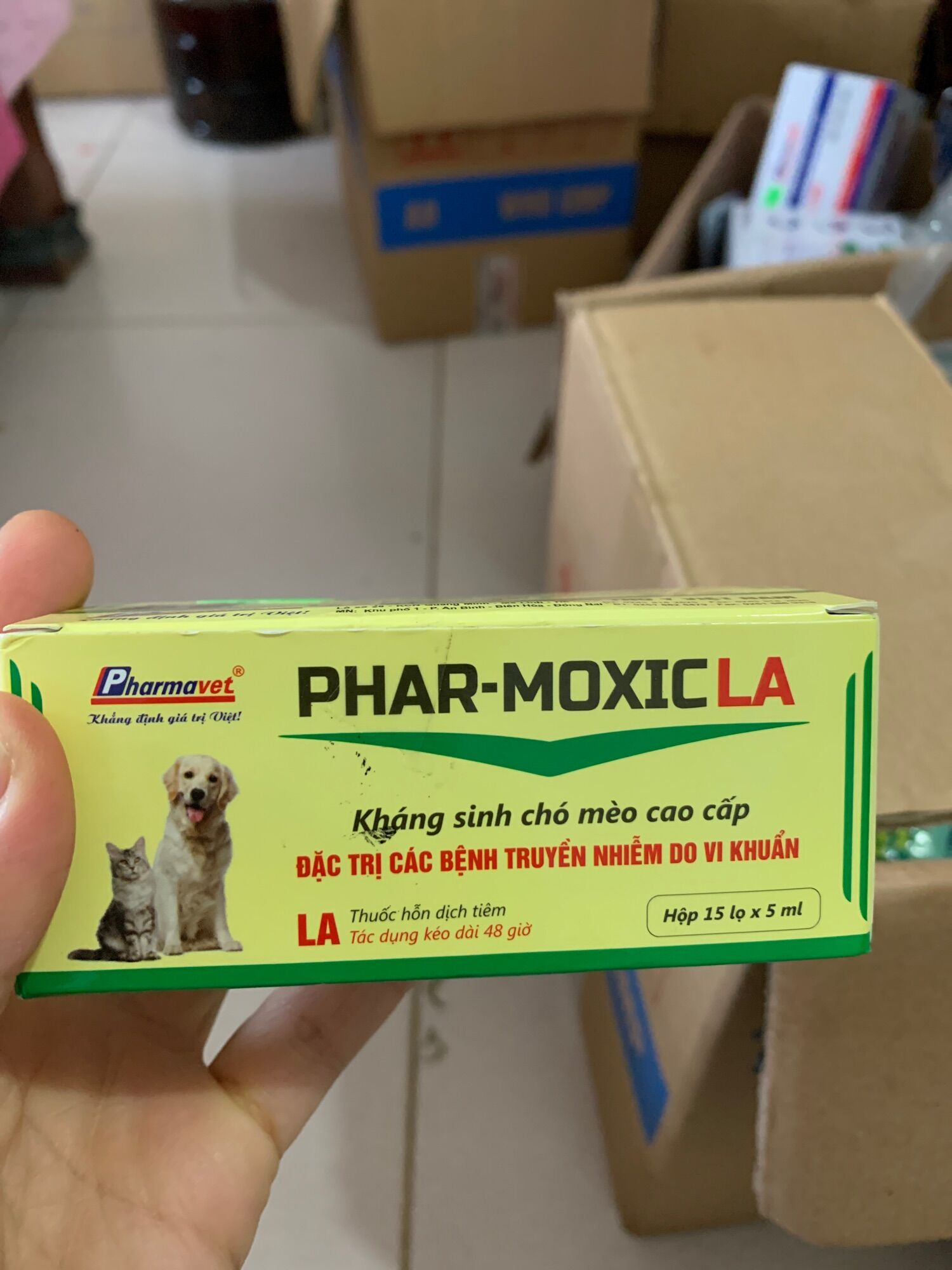 Trị ỉa chảy,phân máu tươi,viêm phổi,viêm tử cung,viêm đường tiết niệu…chó mèo