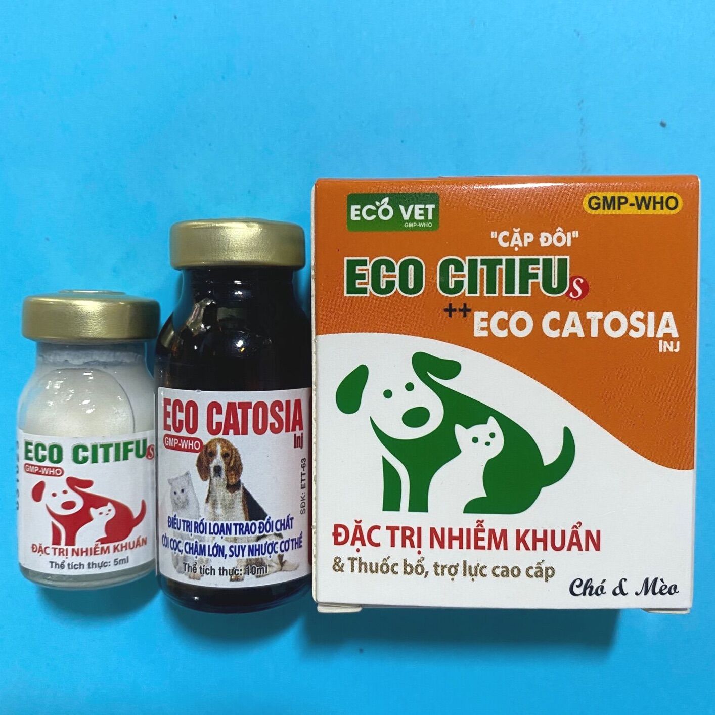 Eco Citifu+ Eco Catosia Tiêu chảy, kiết lỵ, ho thở-Thú Y