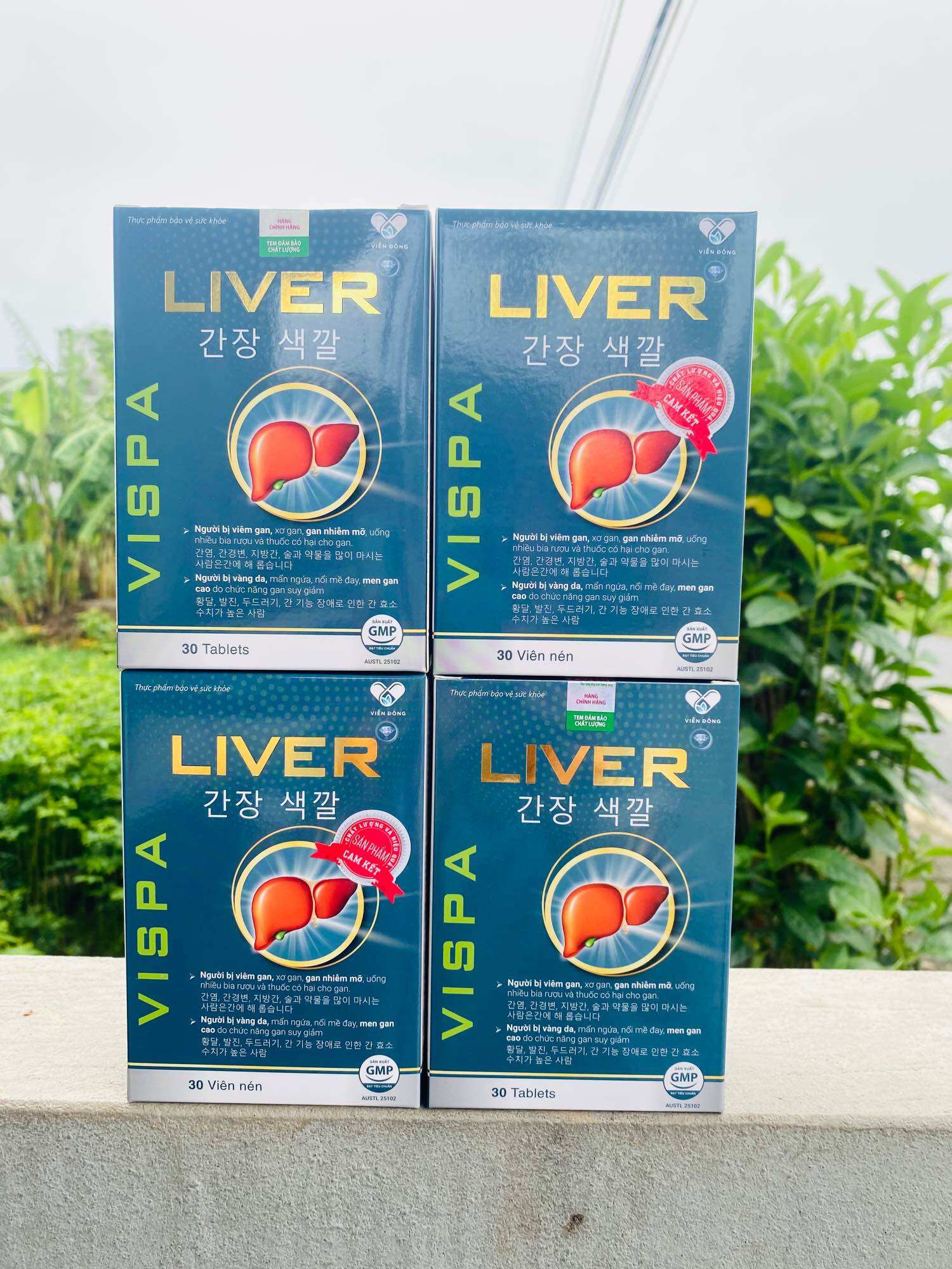 Bổ gan liver