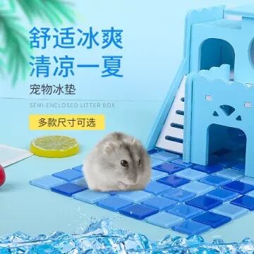 Thảm đá tản nhiệt cho Hamster