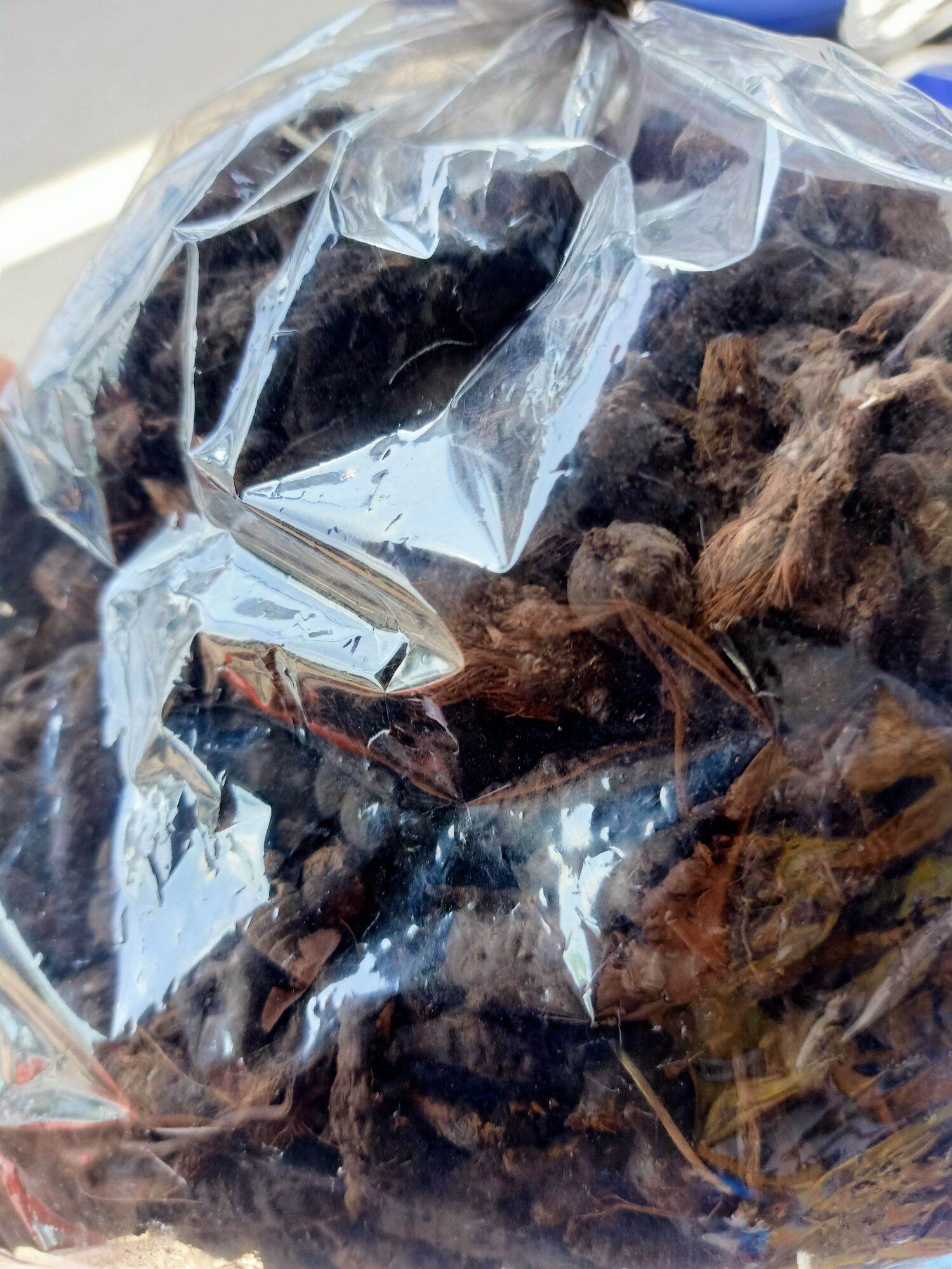 cỏ cú ( cỏ gấu) khô 1 kg