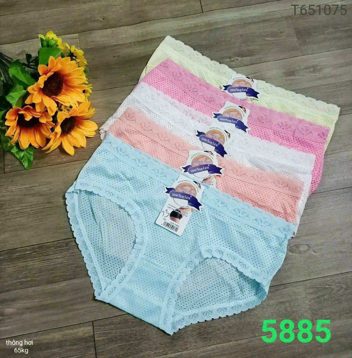 Bộ 10 Quần Lót Nữ Cotton Viền Ren Thái Lan Mềm Mịn Co Giãn Thấm Hút Mồ Hôi Cho Các Bạn 40-58kg MS 819