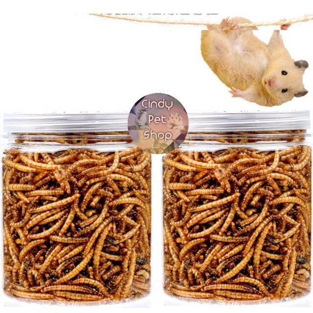 Hộp sâu khô superworm trung cho Hamster 125g