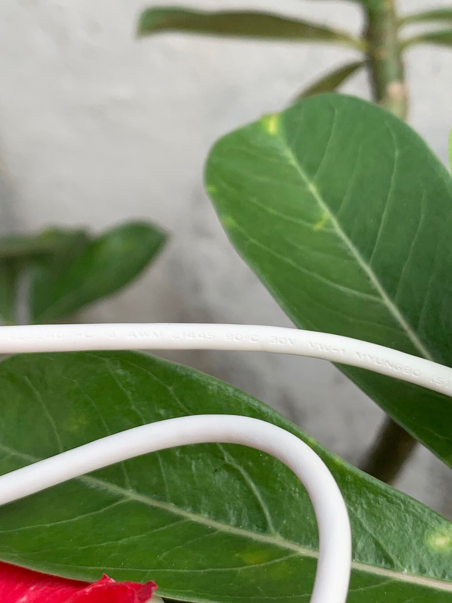 Cáp Micro hàng công ty(cáp sịn giá rẻ)