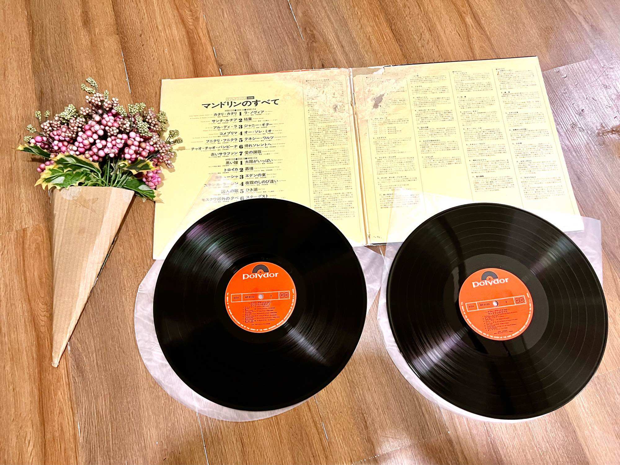 10 Đĩa Than (nhạc quốc tế chọn lọc)